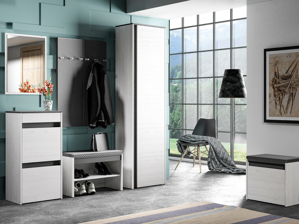 haga wardrobe 1 snow pine anthracite
