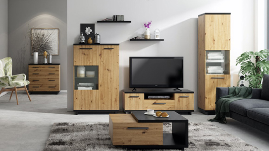 Solid furniture for the living room